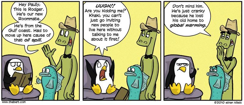 The New Guy